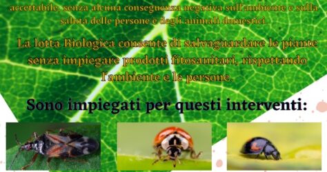 Volantino lotta biologica