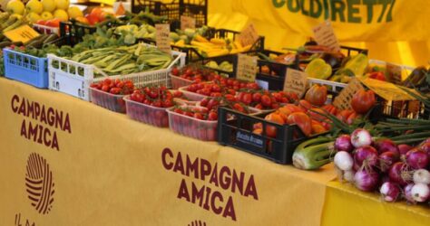 mercato-campagna-amica-p7qljvqk93zk11vs5cc92yzlj50ugc0vf5wxmk636c